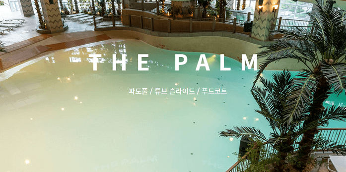 THE-PALM